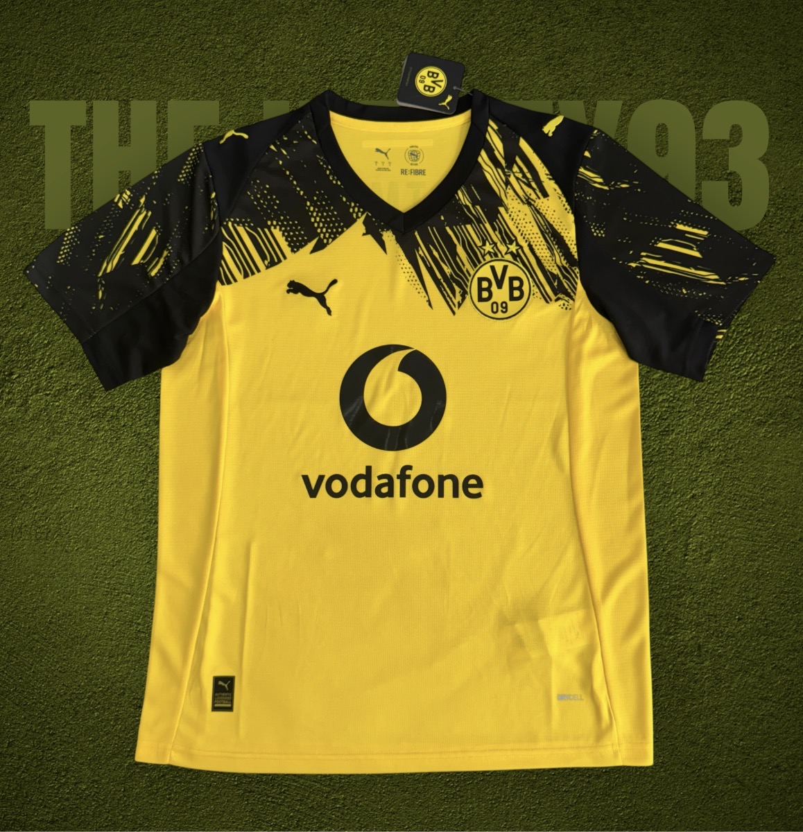 Dortmund home fan 2025