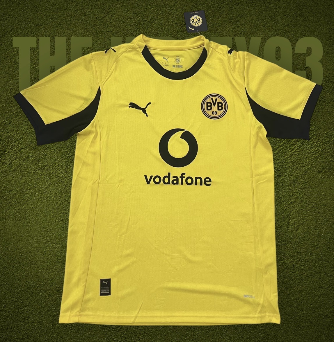 Dortmund third fan 2025