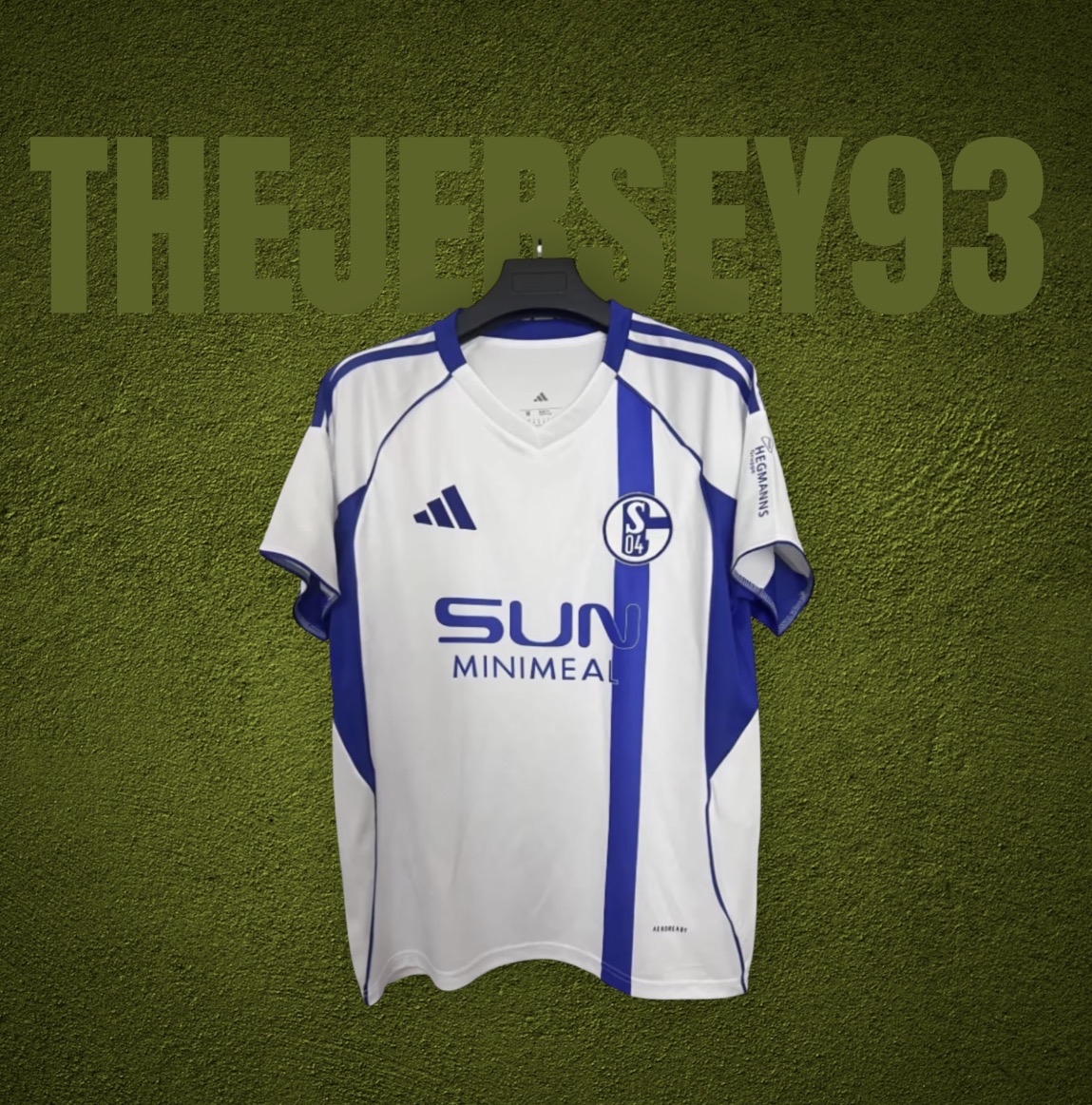 Schalke away fan 2025